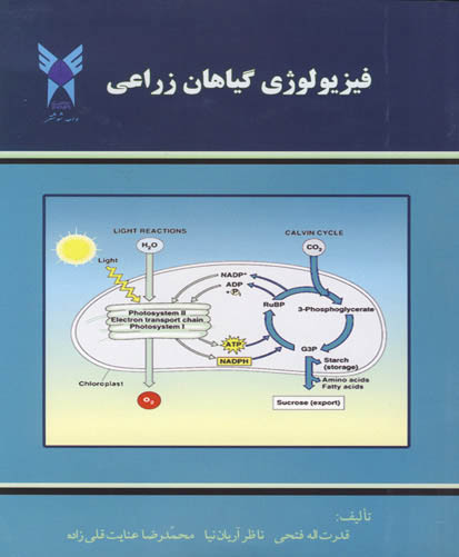 فیزیولوژی گیاهان زراعی